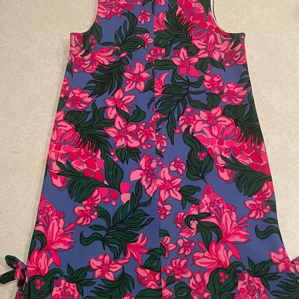 Lilly Pulitzer Pink and Blue Floral Dress